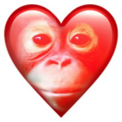 the best cigarette of my life