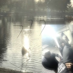 wedissociate+thinkiexist「yuri」