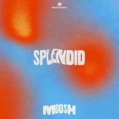 MOO$H - Splendid