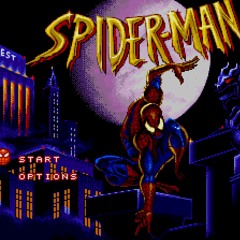 Spiderman - The Funhouse (NES Cover)