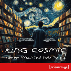 5-King Cosmic - Never Wanted You To Go (Steve Sibra's At Your Risk Version)