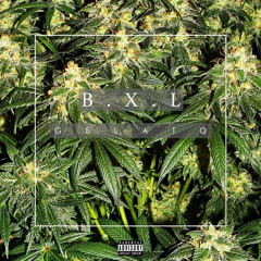 Gelato BXL38