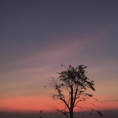 Mùa đông của anh - Thai Dinh