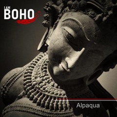 𝗜 𝗔𝗠 𝗕𝗢𝗛𝗢 - Special Edition by Alpaqua
