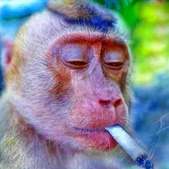 thr33 x tdf mix | timestamps in desc