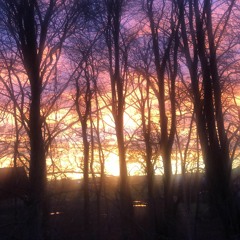 Maybe She'll Love Me In The Summer (With Bass)