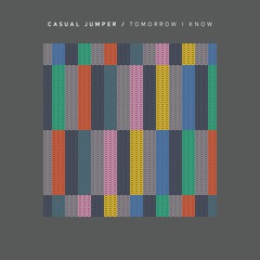 MOMR029 - Casual Jumper - Tomorrow I Know