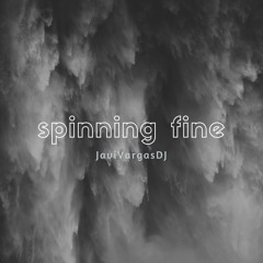 Spinning Fine