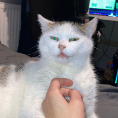 WRÓCĘ