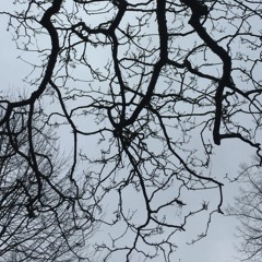 ไม่มี P.O.P. - Cover JDI