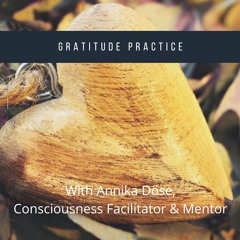 Gratitude Practice