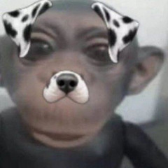 Ñiiii