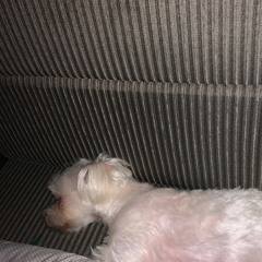 jiwoo - greed (cover by numb)