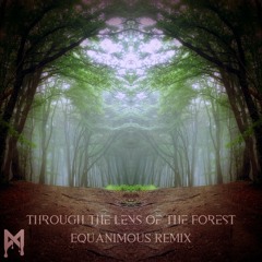 Mfinity - Through the Lens of the Forest (Equanimous Remix)