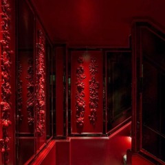 Rara Avis - Forbidden Room