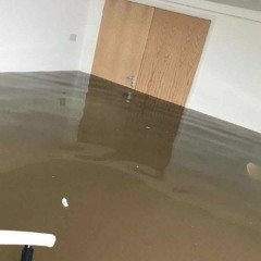 Flood (DEMO 002)