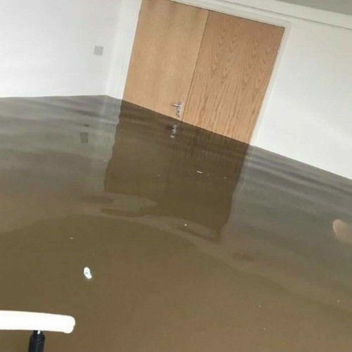 Flood (DEMO 002)