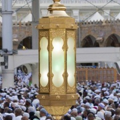 تلاوة من أواخر سورتي النور والحجرات | مغرب 15 ذي الحجة 1441هـ | د. بندر بليلة