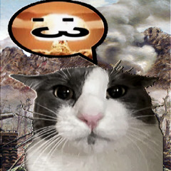 pussy kat attack‼‼‼‼ ‼‼ꜝꜝ >:0