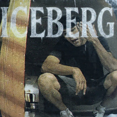 BLEED - ICEBERG