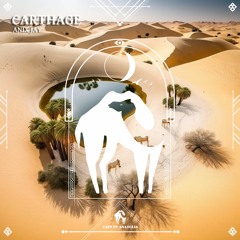 ANix JAy - Carthage (Cafe De Anatolia)