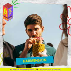 Harmension - DNB Discovery Set @Go Low x Strijkplanksessies - Solar 2025