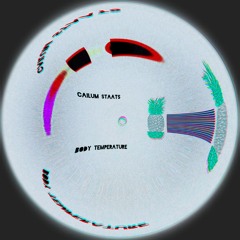 Cailum Staats - Body Temperature (2019 Mix) Free DL