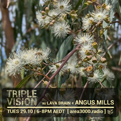 'Triple Vision' 29.10.24 w Lava Brain + Angus Mills [area3000.radio]