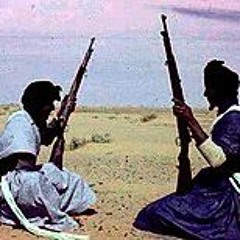 صحراويون‎