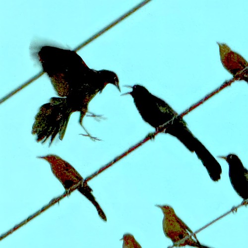 we'll see part 1 11.7.25temp