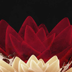 IMANU & KUČKA - It's Our Destiny (MCKN 2022 lost flip)