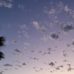 GLITTERFORCEXRIDE - pr1vsx/DALEXA