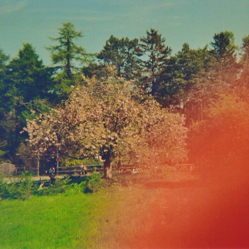 Daniel Magee - 1