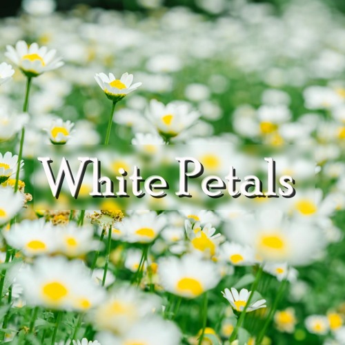 White Petals - Romantic Piano Music [FREE DOWNLOAD]