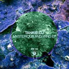 Tankie-DJ - Mysterious And Wind (Original Mix) - SNK126