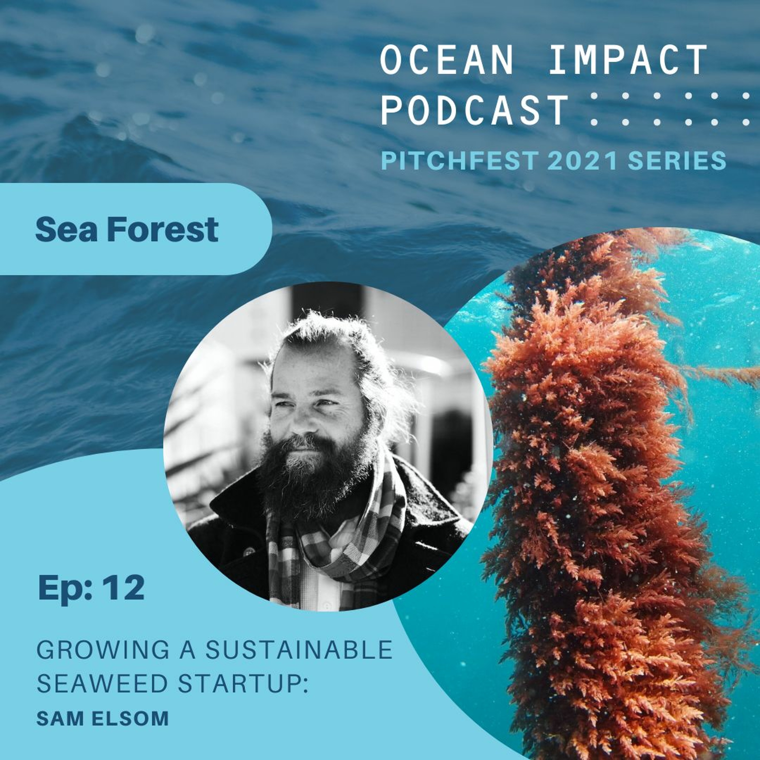 The Ocean Impact Podcast