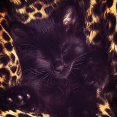 hot (prod. fakemink)