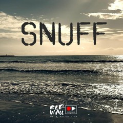 Chiocchetti & Capitini_Snuff (Acoustic Version)