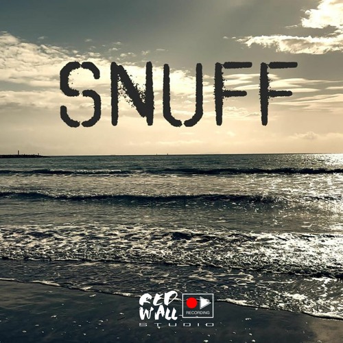 Chiocchetti & Capitini_Snuff (Acoustic Version)