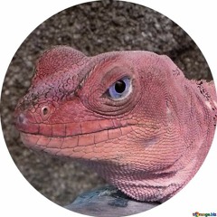 Red_Lizard_DEMO_106BPM