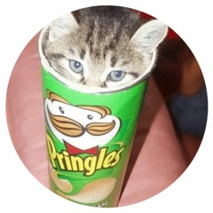 pringles <prod. albi.zay>