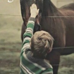 Seven Mornings And 3 Stables