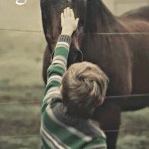 Seven Mornings And 3 Stables