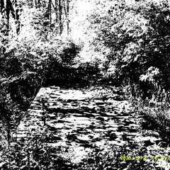 Woods / sleepparalysis p. (everydaysinner)