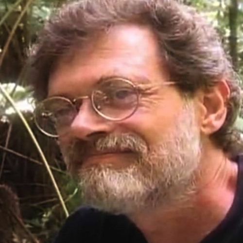 Terence McKenna on the Unfolding Chaos