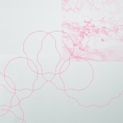 Cyclamen