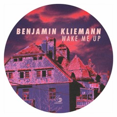 Benjamin Kliemann feat. Laura Lasagna - Wake Me Up