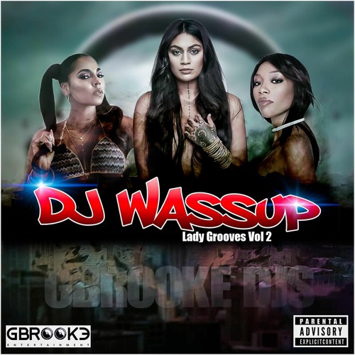 Lady Grooves Vol 2 DjWassup (GBROOKE)