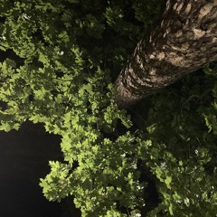 Кто там, Кимо, Тбили