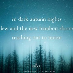 Bamboo Moon - (naviarhaiku511)